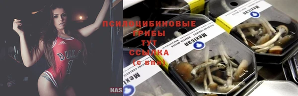 дурь Аркадак