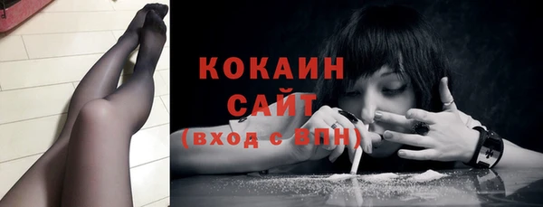спайс Арсеньев