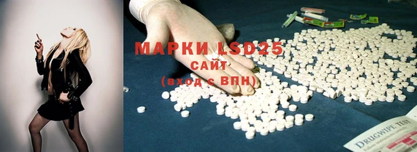 стафф Армянск